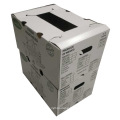 Fancy New Design White Fruit Corrugated Box